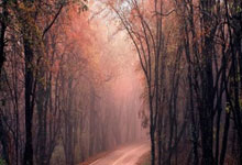 国际奥委会临时认可世界拳联为国际单项体育组织新华网.