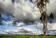 英超再掀战幕 红军望吞下太妃糖 曼市盼擒杀狐狸.