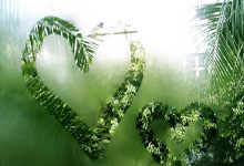 中超:成都蓉城队期待在济南打一个翻身仗.