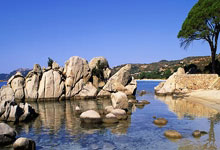 北青：伊万近期向足协汇报工作，国足需尽快敲定6月生死战备战计划.